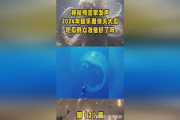 2024年娱乐吃瓜,吃瓜群众狂欢盛宴